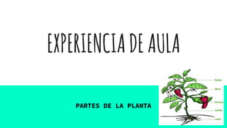 EXPERIENCIADEAULA
PARTES DE LA PLANTA
 