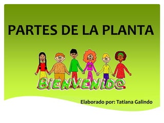 PARTES DE LA PLANTA
Elaborado por: Tatiana Galindo
 