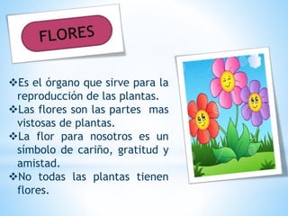 Es el órgano que sirve para la
reproducción de las plantas.
Las flores son las partes mas
vistosas de plantas.
La flor para nosotros es un
símbolo de cariño, gratitud y
amistad.
No todas las plantas tienen
flores.
 