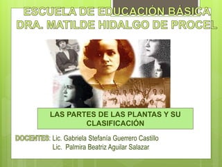 LAS PARTES DE LAS PLANTAS Y SU
CLASIFICACIÓN
: Lic. Gabriela Stefanía Guerrero Castillo
Lic. Palmira Beatriz Aguilar Salazar
 