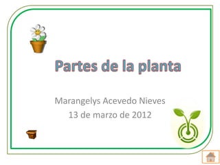 Marangelys Acevedo Nieves
  13 de marzo de 2012
 