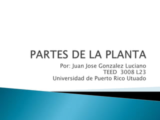 Por: Juan Jose Gonzalez Luciano
                  TEED 3008 L23
Universidad de Puerto Rico Utuado
 