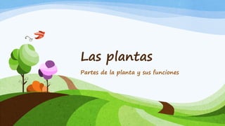 Las plantas
Partes de la planta y sus funciones
 