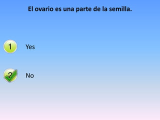 El ovario es una parte de la semilla.