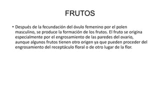 FRUTOS
• Después de la fecundación del óvulo femenino por el polen
masculino, se produce la formación de los frutos. El fruto se origina
especialmente por el engrosamiento de las paredes del ovario,
aunque algunos frutos tienen otro origen ya que pueden proceder del
engrosamiento del receptáculo floral o de otro lugar de la flor.
 