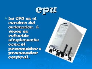 cpu La CPU es el cerebro del ordenador. A veces es referido simplemente como  el procesador  o  procesador central . 