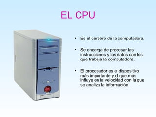 EL CPU

  •   Es el cerebro de la computadora.

  •   Se encarga de procesar las
      instrucciones y los datos con los
      que trabaja la computadora.

  •   El procesador es el dispositivo
      más importante y el que más
      influye en la velocidad con la que
      se analiza la información.
 
