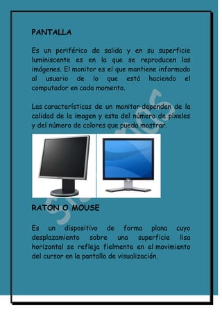 Partes del computador nuevo