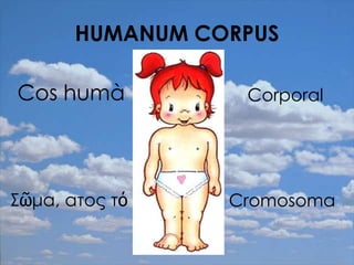 HUMANUM CORPUS

Cos humà          Corporal




Σῶμα, ατος τό    Cromosoma
 