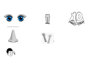 body parts