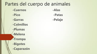 Partes del cuerpo de animales
-Cuernos -Alas
-Pico -Patas
-Garras -Pelaje
-Colmillos
-Plumas
-Melena
-Trompa
-Bigotes
-Caparazón
 