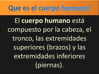 Que es el cuerpo humano? El cuerpo humano está compuesto por la cabeza, el tronco, las extremidades superiores (brazos) y las extremidades inferiores (piernas). 