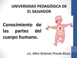 UNIVERSIDAD PEDAGÓGICA DE
          EL SALVADOR


Conocimiento de
las partes del
cuerpo humano.


          Lic. Albin Rolando Pineda Borja.
 