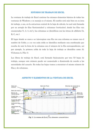 ENTORNO DE TRABAJO DE EXCEL
La ventana de trabajo de Excel contiene los mismos elementos básicos de todas las
ventanas de Windows y su manejo es el mismo. El cambio está más bien en su área
de trabajo, o sea, en la estructura central de la hoja de cálculo, la cual está formada
por un arreglo de filas (horizontales) y columnas (verticales), donde las filas van
enumeradas (1, 2, 3, etc) y las columnas se identifican con las letras de alfabeto (A,
B, C, etc.).
El lugar donde se unen o se interceptan una fila con una columna se conoce con el
nombre de Celda y a su vez cada celda se identifica mediante una coordenada que
resulta de unir la letra de la columna con el número de la fila correspondiente, así
por ejemplo, la primera celda de toda la hoja de trabajo se identifica como A1
(Columna A, Fila 1).
Los libros de trabajo de Excel, está formado básicamente por tres (3) hojas de
trabajo, aunque este número puede ser aumentado o disminuido de cuerdo a las
necesidades del usuario. En todas las hojas vamos a encontrar el mismo número de
filas y de columnas.

ASPECTO Y ELEMENTOS DE LA VENTANA DE EXCEL

 