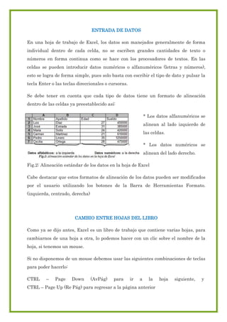 ENTRADA DE DATOS
En una hoja de trabajo de Excel, los datos son manejados generalmente de forma
individual dentro de cada celda, no se escriben grandes cantidades de texto o
números en forma continua como se hace con los procesadores de textos. En las
celdas se pueden introducir datos numéricos o alfanuméricos (letras y números),
esto se logra de forma simple, pues solo basta con escribir el tipo de dato y pulsar la
tecla Enter o las teclas direccionales o cursoras.
Se debe tener en cuenta que cada tipo de datos tiene un formato de alineación
dentro de las celdas ya preestablecido así:
* Los datos alfanuméricos se
alinean al lado izquierdo de
las celdas.
* Los datos numéricos se
alinean del lado derecho.
Fig.2: Alineación estándar de los datos en la hoja de Excel
Cabe destacar que estos formatos de alineación de los datos pueden ser modificados
por el usuario utilizando los botones de la Barra de Herramientas Formato.
(izquierda, centrado, derecha)

CAMBIO ENTRE HOJAS DEL LIBRO
Como ya se dijo antes, Excel es un libro de trabajo que contiene varias hojas, para
cambiarnos de una hoja a otra, lo podemos hacer con un clic sobre el nombre de la
hoja, si tenemos un mouse.
Si no disponemos de un mouse debemos usar las siguientes combinaciones de teclas
para poder hacerlo:
CTRL

–

Page

Down

(AvPág)

para

ir

a

la

CTRL – Page Up (Re Pág) para regresar a la página anterior

hoja

siguiente,

y

 