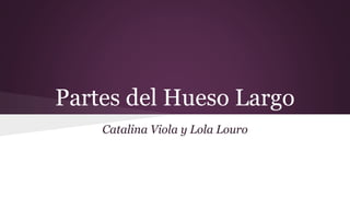 Partes del Hueso Largo
Catalina Viola y Lola Louro
 