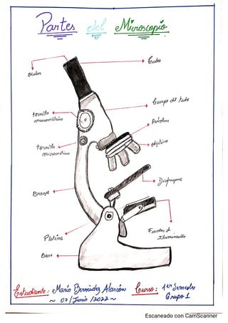 Partes del Microscopio.Maria Bermúdez.pdf