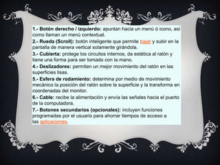 1.- Botón derecho / izquierdo: apuntan hacia un menú ó icono, así
como llaman un menú contextual.
2.- Rueda (Scroll): botón inteligente que permite bajar y subir en la
pantalla de manera vertical solamente girándola.
3.- Cubierta: protege los circuitos internos, da estética al ratón y
tiene una forma para ser tomado con la mano.
4.- Deslizadores: permiten un mejor movimiento del ratón en las
superficies lisas.
5.- Esfera de rodamiento: determina por medio de movimiento
mecánico la posición del ratón sobre la superficie y la transforma en
coordenadas del monitor.
6.- Cable: recibe la alimentación y envía las señales hacia el puerto
de la computadora.
7.- Botones secundarios (opcionales): incluyen funciones
programadas por el usuario para ahorrar tiempos de acceso a
las aplicaciones.

 