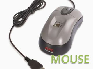 MOUSE