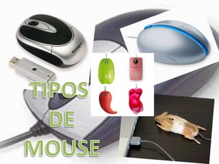 TIPOS DE MOUSE