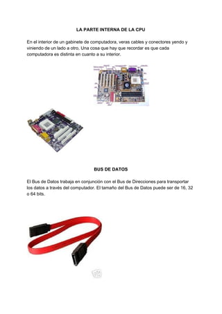 LA​ ​PARTE​ ​INTERNA​ ​DE​ ​LA​ ​CPU
En​ ​el​ ​interior​ ​de​ ​un​ ​gabinete​ ​de​ ​computadora,​ ​veras​ ​cables​ ​y​ ​conectores​ ​yendo​ ​y
viniendo​ ​de​ ​un​ ​lado​ ​a​ ​otro,​ ​Una​ ​cosa​ ​que​ ​hay​ ​que​ ​recordar​ ​es​ ​que​ ​cada
computadora​ ​es​ ​distinta​ ​en​ ​cuanto​ ​a​ ​su​ ​interior.
​ ​​ ​​ ​​ ​​ ​​ ​​ ​​ ​​ ​​ ​​ ​​ ​​ ​​ ​​ ​​ ​​ ​​ ​​ ​​ ​​ ​​ ​​ ​​ ​​ ​​ ​​ ​​ ​​ ​​ ​​ ​​ ​​ ​​ ​​ ​​ ​​ ​​ ​​ ​​ ​​ ​​ ​​ ​​ ​​ ​​ ​​ ​​ ​​ ​​ ​​ ​​ ​​ ​
BUS​ ​DE​ ​DATOS
El​ ​Bus​ ​de​ ​Datos​ ​trabaja​ ​en​ ​conjunción​ ​con​ ​el​ ​Bus​ ​de​ ​Direcciones​ ​para​ ​transportar
los​ ​datos​ ​a​ ​través​ ​del​ ​computador.​ ​El​ ​tamaño​ ​del​ ​Bus​ ​de​ ​Datos​ ​puede​ ​ser​ ​de​ ​16,​ ​32
o​ ​64​ ​bits.
 