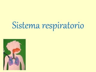Sistema respiratorio
 