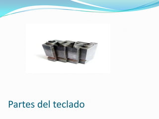 Partes del teclado
 