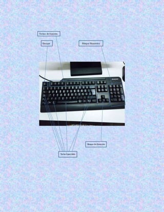 Partes del teclado