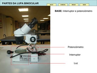 BASE:  Interruptor e potenciómetro CABEZAL INICIO BRAZO BASE PARTES DA LUPA BINOCULAR Potenciómetro Interruptor Luz  
