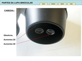 CABEZAL:  CABEZAL INICIO BRAZO BASE Obxetivos. Aumentos 2X Aumentos 4X PARTES DA LUPA BINOCULAR 