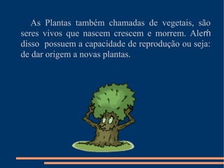 As Plantas também chamadas de vegetais, são
seres vivos que nascem crescem e morrem. Ale ḿ
disso possuem a capacidade de reprodução ou seja:
de dar origem a novas plantas.
 