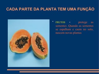 CADA PARTE DA PLANTA TEM UMA FUNÇÃO

                  
                      FRUTOS    -      protege as
                      sementes .Quando as sementes
                      se espalham e caem no solo,
                      nascem novas plantas
 