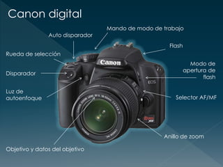 Canon digital
Auto disparador
Rueda de selección
Disparador
Luz de
autoenfoque
Objetivo y datos del objetivo
Mando de modo de trabajo
Flash
Modo de
apertura de
flash
Selector AF/MF
Anillo de zoom
 