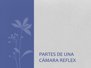 PARTES DE UNA 
CÁMARA REFLEX 
 
