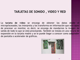 14
TARJETAS DE SONIDO , VIDEO Y RED
La tarjeta de video se encarga de obtener los datos desde el
microprocesador, los interpreta y los transforma en información que sea capaz
de procesar un monitor, es decir, se encarga de mandarnos la imagen de
salida de todo lo que se está procesando. También se instala en una ranura de
expansión en la tarjeta madre y se le puede llegar a conocer como adaptador
de pantalla o acelerador de gráficos.
 