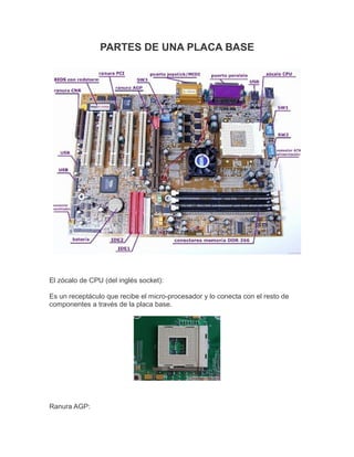 PARTES DE UNA PLACA BASE
El zócalo de CPU (del inglés socket):
Es un receptáculo que recibe el micro-procesador y lo conecta con el resto de
componentes a través de la placa base.
Ranura AGP:
 