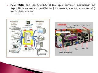    PUERTOS: son los CONECTORES que permiten comunicar los
    dispositivos externos o periféricos ( impresora, mouse, scanner, etc)
    con la placa madre.
 