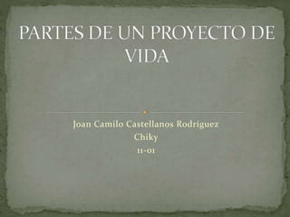 Joan Camilo Castellanos Rodríguez
Chiky
11-01
 
