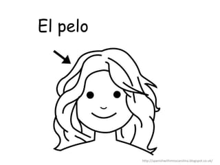 El pelo
http://spanishwithmisscarolina.blogspot.co.uk/
 