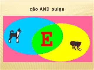 cão AND pulga   