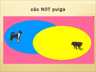 cão NOT pulga   