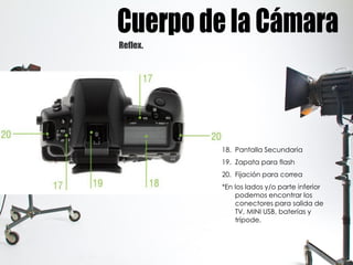 Reflex.
18. Pantalla Secundaria
19. Zapata para flash
20. Fijación para correa
*En los lados y/o parte inferior
podemos encontrar los
conectores para salida de
TV, MINI USB, baterías y
trípode.
 
