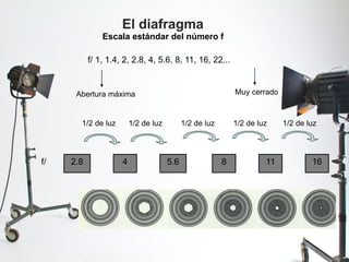 Escala estándar del número f
f/ 1, 1.4, 2, 2.8, 4, 5.6, 8, 11, 16, 22...
Abertura máxima Muy cerrado
f/ 4 161182.8 5.6
1/2 de luz 1/2 de luz 1/2 de luz 1/2 de luz 1/2 de luz
El diafragma
 