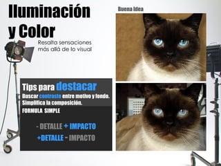 Iluminación
y ColorResalta sensaciones
más allá de lo visual
Buena Idea
Mala Idea
Tips para destacar
Buscar contraste entre motivo y fondo.
Simplifica la composición.
FORMULA SIMPLE
- DETALLE + IMPACTO
+DETALLE -IMPACTO
 