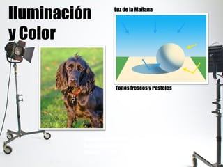 Iluminación
y Color
Luz de la Mañana
Tonos frescos y Pasteles
Difumina los detalles lejanos.
Recomendado para evocar sentimientos de
ternura.
 