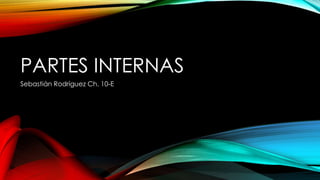 PARTES INTERNAS
Sebastián Rodríguez Ch. 10-E
 