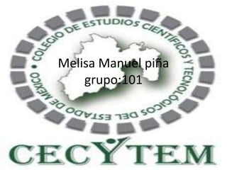 Melisa Manuel piña
grupo:101