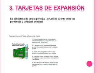 Se conectan a la tarjeta principal , sirven de puente entre los
periféricos y la tarjeta principal
 