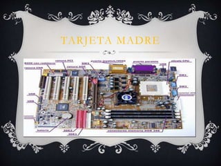 TARJETA MADRE 
 