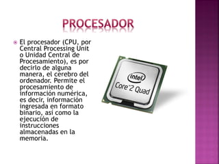El procesador (CPU, por Central Processing Unit o Unidad Central de Procesamiento), es por decirlo de alguna manera, el cerebro del ordenador. Permite el procesamiento de información numérica, es decir, información ingresada en formato binario, así como la ejecución de instrucciones almacenadas en la memoria.  